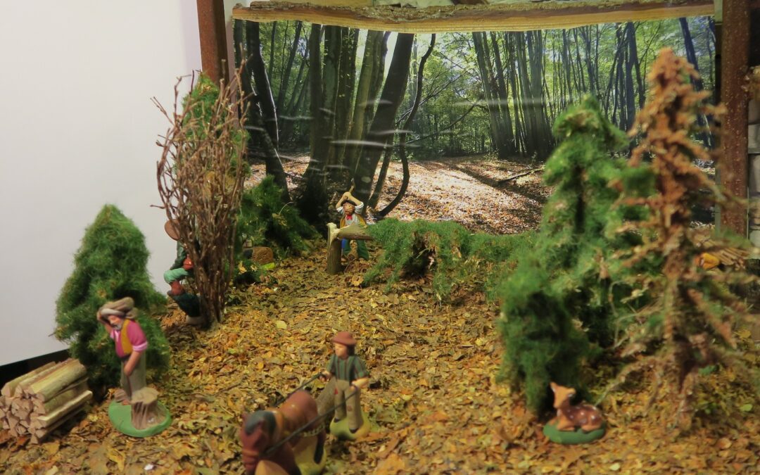 6 La forêt