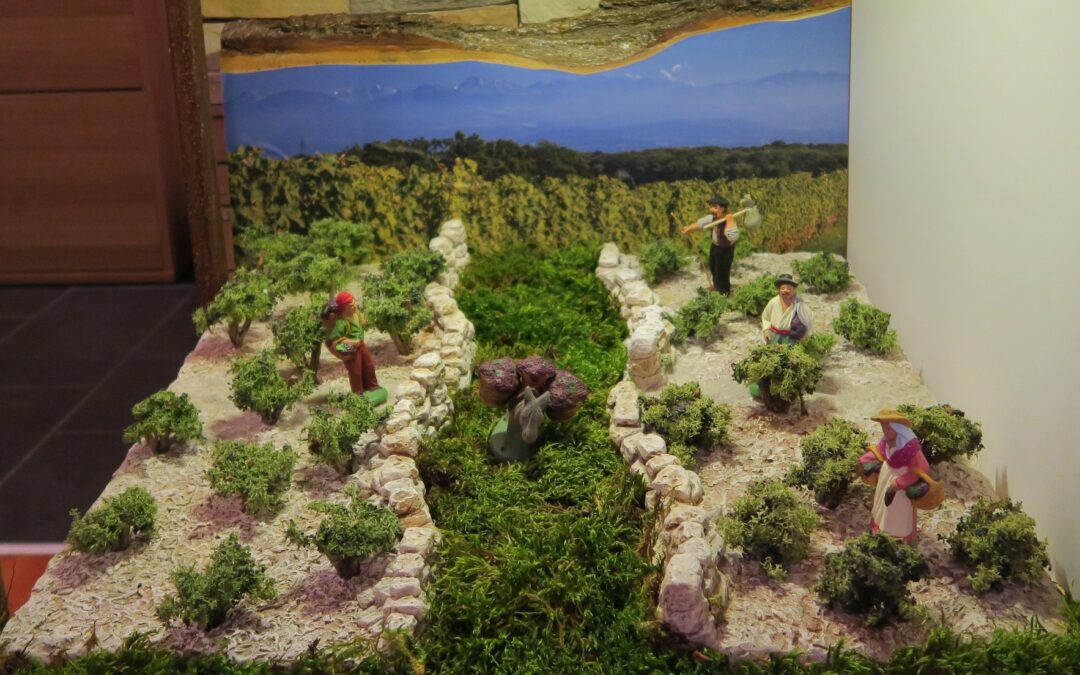 10 Les vendanges