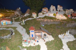 DSC 0004 (1)