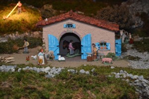 DSC 0008 (1)