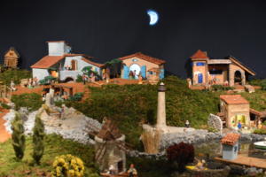 DSC 0029