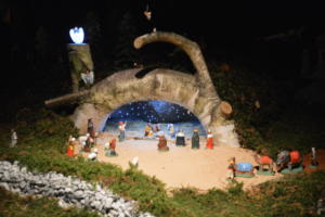 DSC 0035