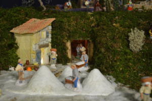 DSC 0060